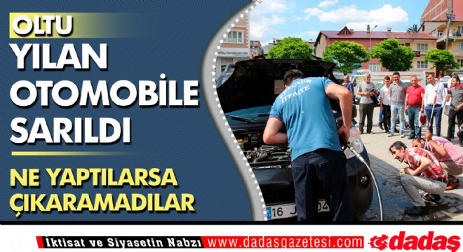 Oltu'da yılan operasyonu 